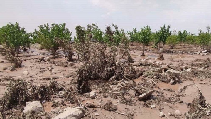 ۱.۵ همت غرامت به کشاورزان خسارت دیده پرداخت شد