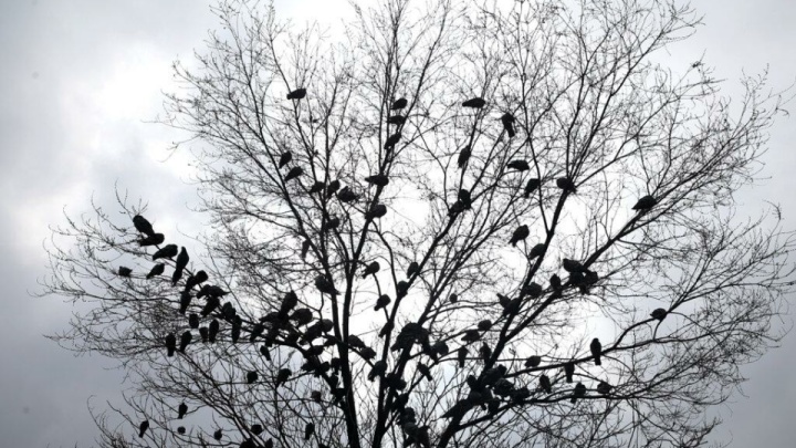 مهر امسال؛ بی‌بارش‌ترین ماه در ۴۰ سال اخیر