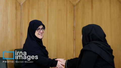 گزارش تصویری/ نشست خبری سخنگوی دولت