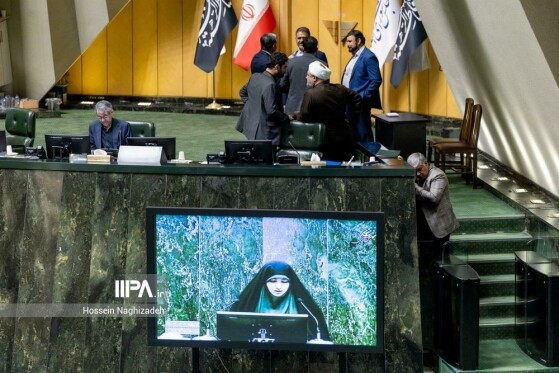 صحن مجلس شورای اسلامی