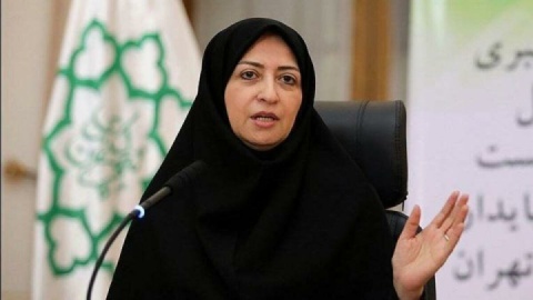 معاون رئیسجمهور و رئیس سازمان حفاظت محیط زیست به برزیل سفر می کند