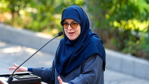 فیلم/  سخنگوی دولت: گزارش وزارت دفاع درخصوص خسارات وارده به رژیم صهیونیستی به هیات دولت ارائه شد