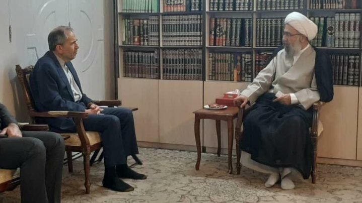 معاون وزیر امور خارجه با آیت الله مروی دیدار کرد