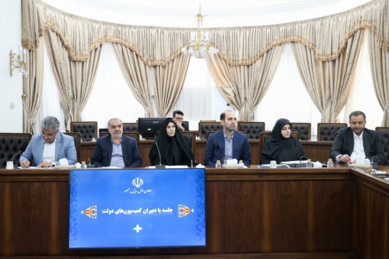 جلسه با دبیران کمیسیون‌های دولت