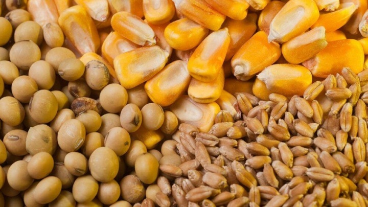 مجوز واردات ۵.۵ میلیون تن نهاده‌های دامی از ستاد تنظیم بازار اخذ شد