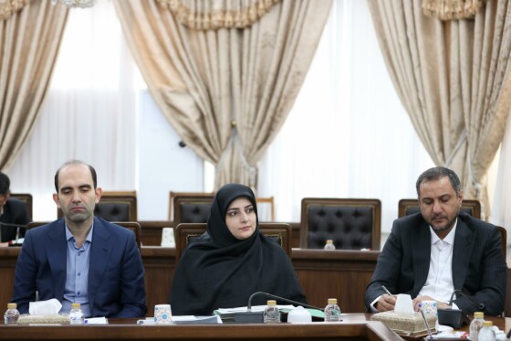 جلسه با دبیران کمیسیون‌های دولت