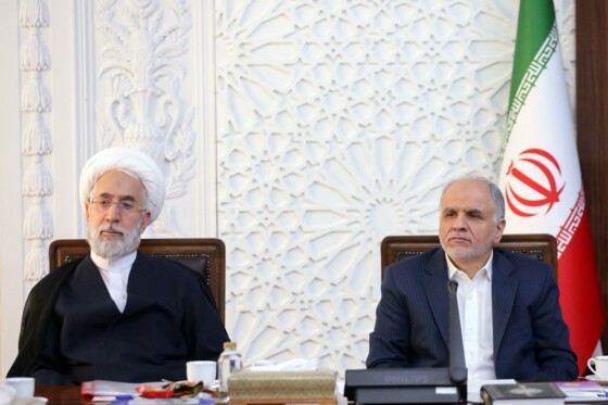 نشست هیئت پیگیری اجرای قانون اساسی