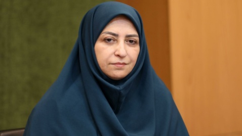 فیلم/ واکنش رئیس سازمان حفاظت محیط زیست به ماجرای سفر ۵۰ میلیاردی برزیل