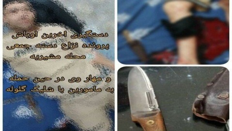 زمین‌گیر شدن شرور سابقه‌دار مشیریه در عملیات ویژه پلیس آگاهی تهران