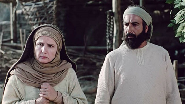 میزبانی شیراز از جشنواره جهانی فجر، اشاعه‌دهنده فرهنگ است