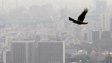 هوای آلوده و نفس‌های به شماره افتاده