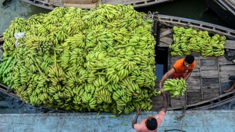 گمرک توقف واردات موز را تکذیب کرد