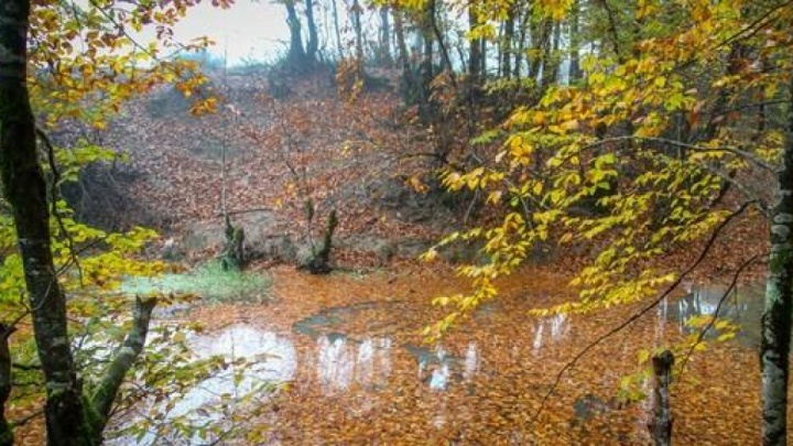 وضعیت دما و بارش کشور تا پایان آذرماه