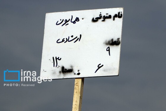 تشییع پیکر «همایون ارشادی»