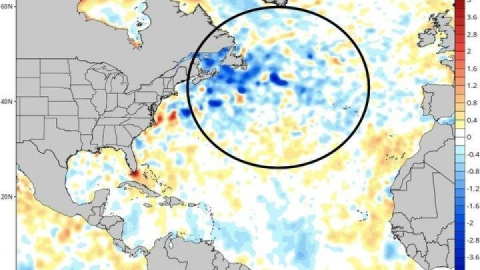 فیلم/ سامانه‌های بارشی از شنبه وارد کشور می‌شوند