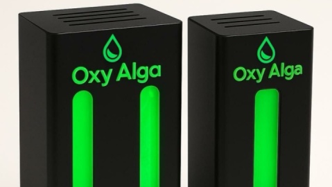 «اکسی آلگا»؛ نسل جدید تصفیه هوا