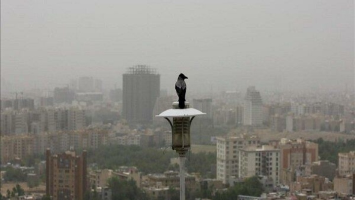 هوای تهران در شرایط ناسالم برای گروه‌های حساس