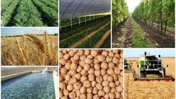 تجاری‌سازی محصولات کشاورزی مازندران باید محقق شود