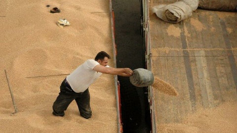 یک میلیون و ۷۰۰ هزار تن غلات مورد نیاز کشور وارد بندر امیرآباد مازندران شد