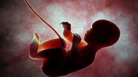 فیلم/ غربالگری در کشور ممنوع نیست و همچنان انجام می‌شود