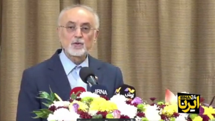 صالحی: هویت ایرانی و هویت اسلامی مکمل هم هستند