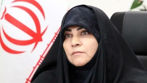 اگر قانون حجاب انقدر ماورایی نبود،  شورای امنیت مانع اجرا شدنش نمی‌شد