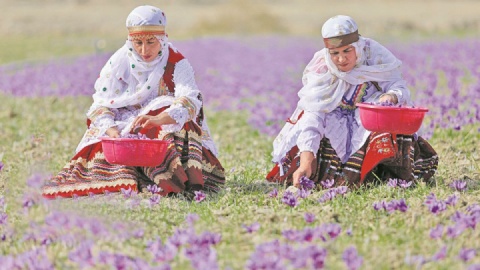 چرا زعفران ایرانی بینام و نشان صادر میشود؟