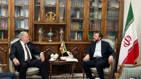 رایزنی غریب‌آبادی با یک مقام سازمان ملل