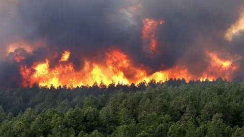 فروکش آتشسوزی در ارتفاعات چالوس با آغاز بارشها