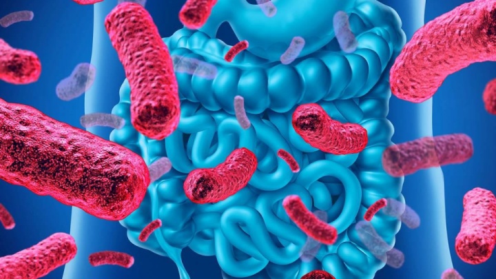 رمزگشایی هوشمند میکروبیوم روده