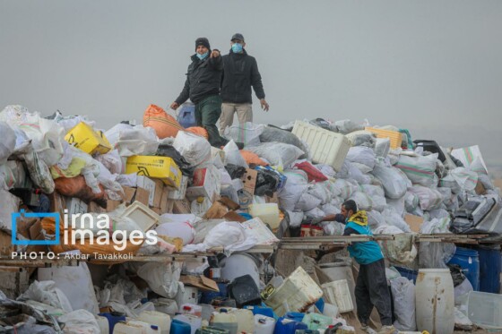امحای ۲۰ تن مواد مخدر