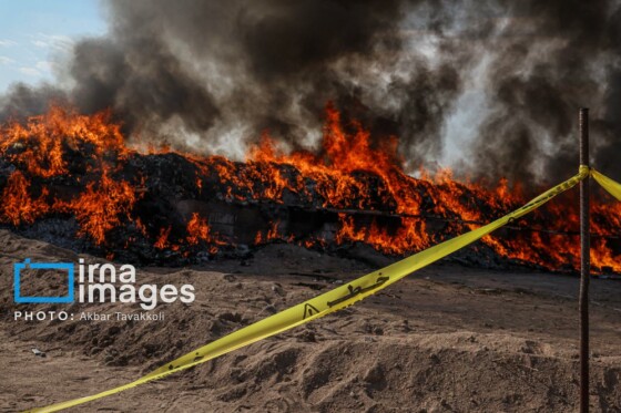 امحای ۲۰ تن مواد مخدر