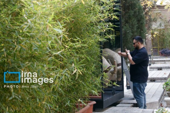 هفته دیزاین تهران