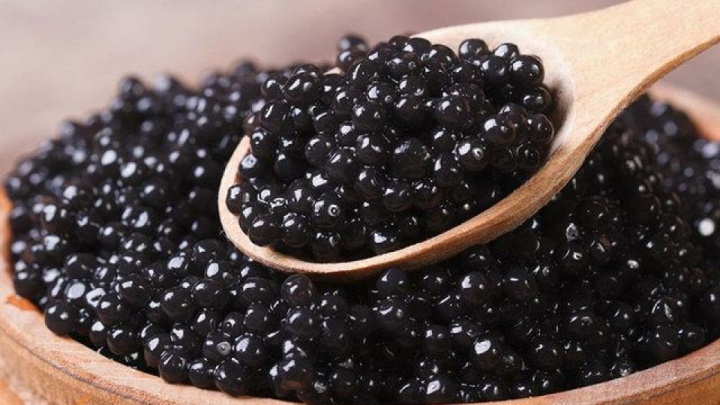 خاویار ایران در راه جهانی شدن؛ ۳.۵ تن به ۳۰ کشور دنیا صادر شد