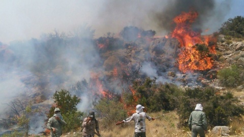 آتش الیت فروکش کرد