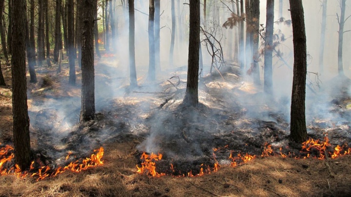 دستور ویژه برای اطفای حریق در چالوس