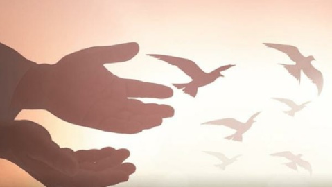 متهم به قصاص در بوکان به حرمت حضرت فاطمه بخشیده شد