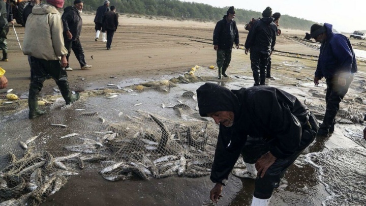 استان پیشتاز پرورش آبزیان، بدون بازار ماهی!