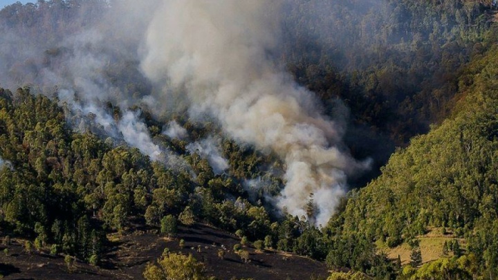 پیگیری رئیس محیط زیست برای اعزام هواپیمای اطفای حریق جنگل های الیت