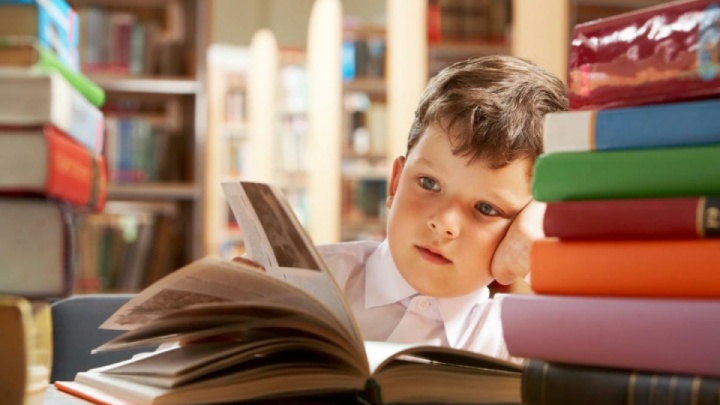 «شهر زیر ذره‌بین»؛ کشف حقایقی شگفت‌انگیز درباره جهانی کوچک و پنهان در زیر پاهای ما