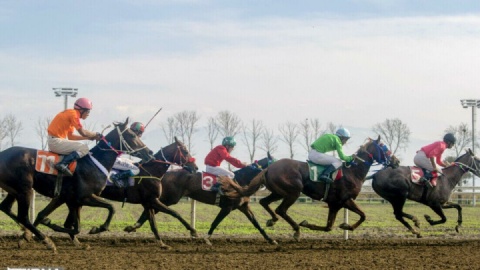 ادامه مسابقات هفته دوم اسبدوانی گنبدکاووس در روز دوم