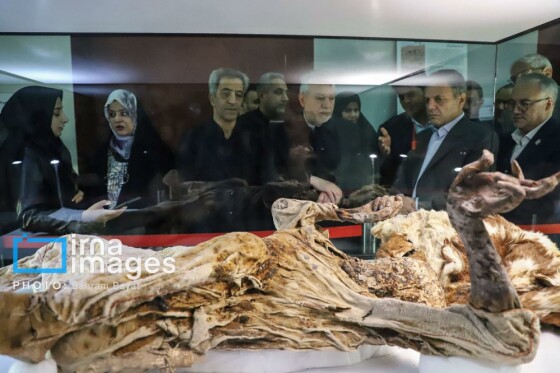 سفر وزیر میراث فرهنگی، گردشگری و صنایع دستی به زنجان