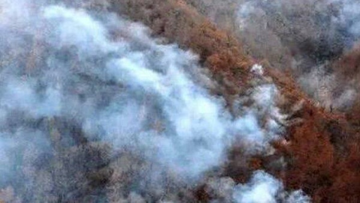 پروازهای اطفای حریق در منطقه جنگلی الیت ادامه دارد