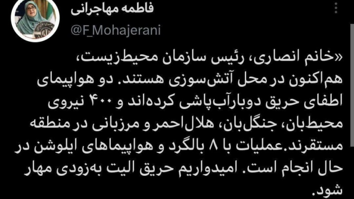پیام سخنگوی دولت درباره روند اطفای حریق جنگل الیت چالوس