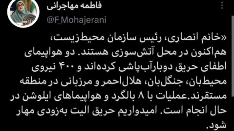 پیام سخنگوی دولت درباره روند اطفای حریق جنگل الیت چالوس