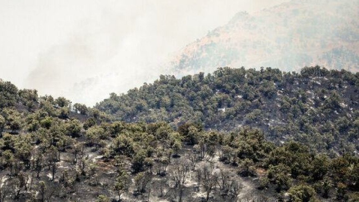 رئیس سازمان مدیریت بحران: کاهش دود در آسمان الیت محسوس است/ مهار آتش‌ با قدرت ادامه دارد