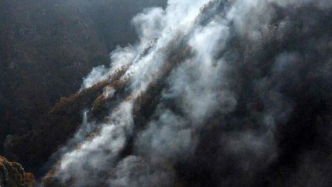 قصور مسئولان در مهار آتش «الیت» پیگرد قضایی دارد