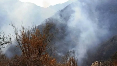 فیلم/ پرواز پیاپی بالگردها بر فراز الیت؛ مردم و دولت پای کار مهار آتش‌سوزی جنگل چالوس