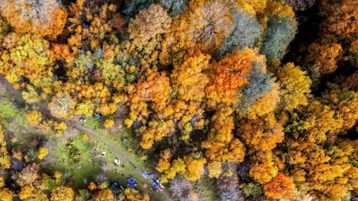 مسیرهای منتهی به جنگل‌های نوشهر مسدود شد