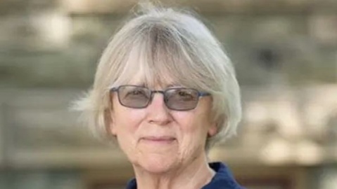 پژوهشگر سیاست تطبیقی